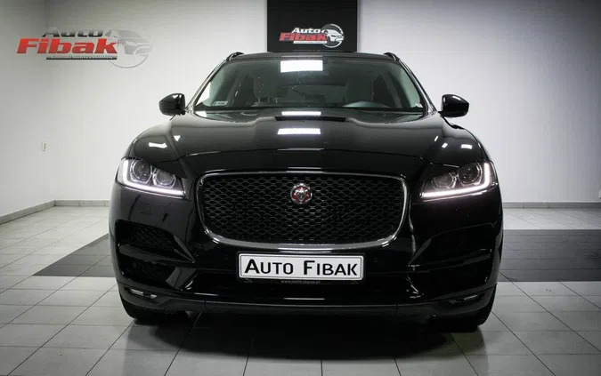 jaguar Jaguar F-Pace cena 123900 przebieg: 96000, rok produkcji 2017 z Miastko